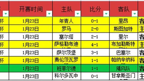 罗尼·奥沙利文：挑战之旅